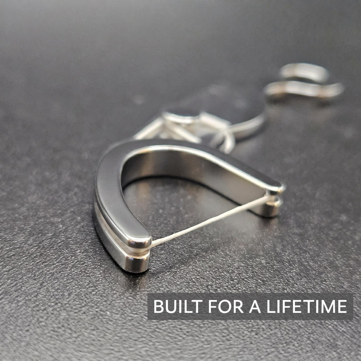 Lifetime Stainless Steel Floss Pick