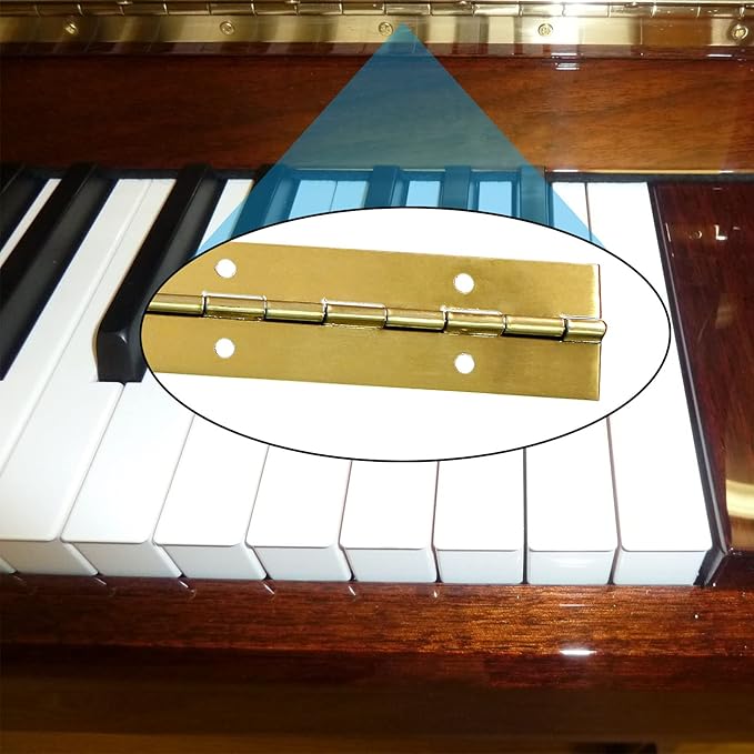 12-Inch Gold Continuous & Piano Hinge – Premium Stainless Steel for Heavy Duty Doors and Custom Projects