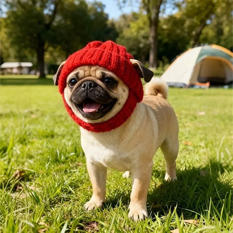 🔥🐾Red Wool Knit Dog Beanie with Ear Flaps – Warm Winter Hat